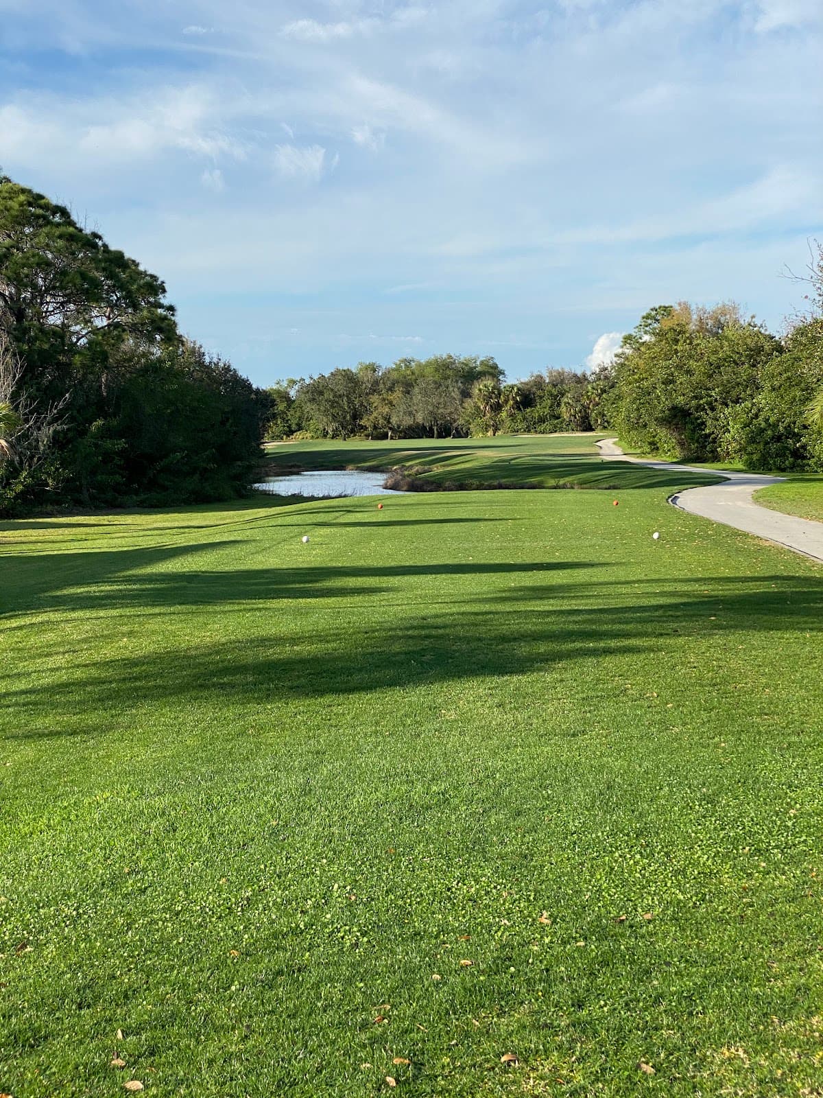 The Preserve Golf Club At Tara
