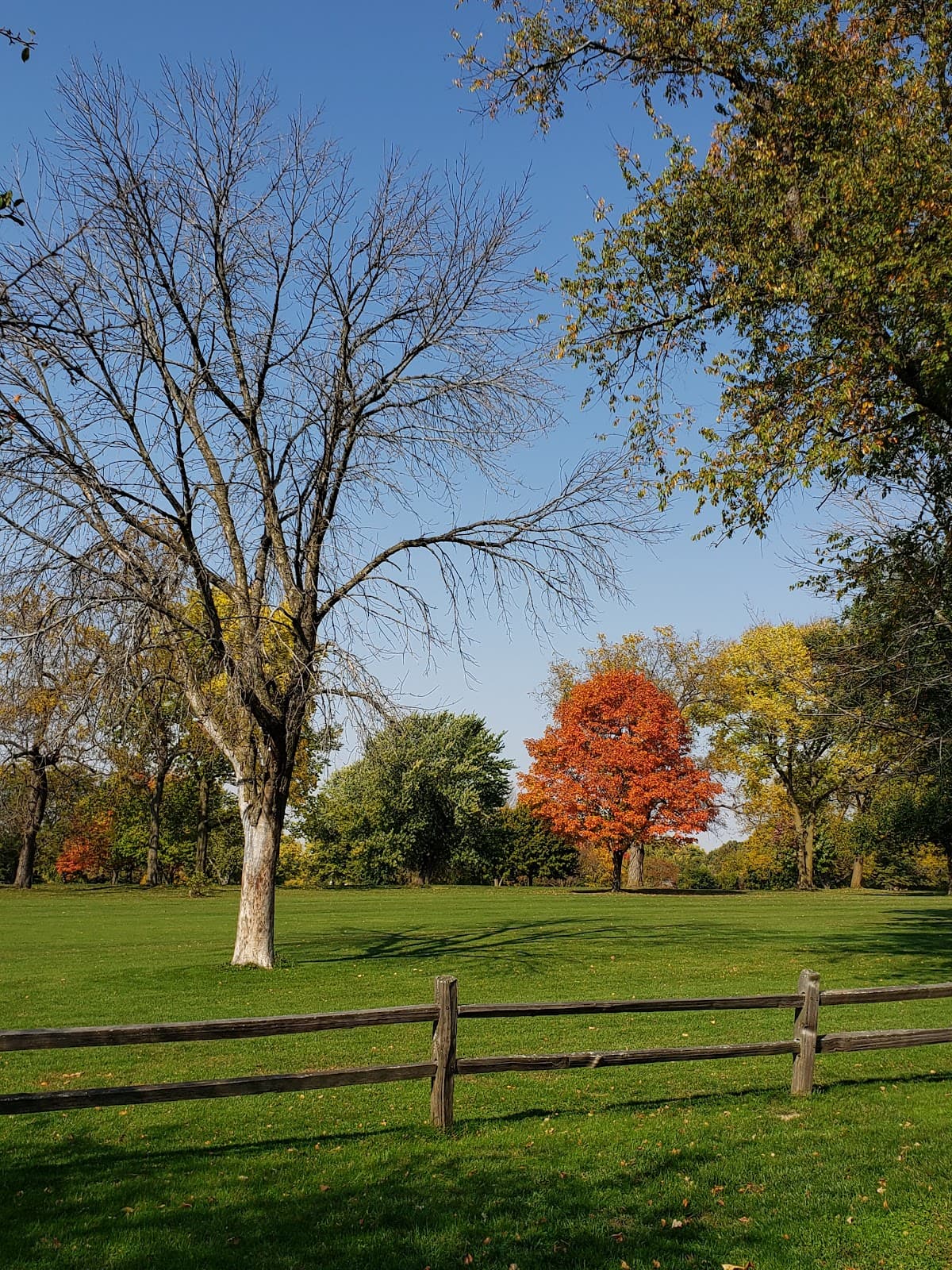 Timber Creek Golf and Banquet