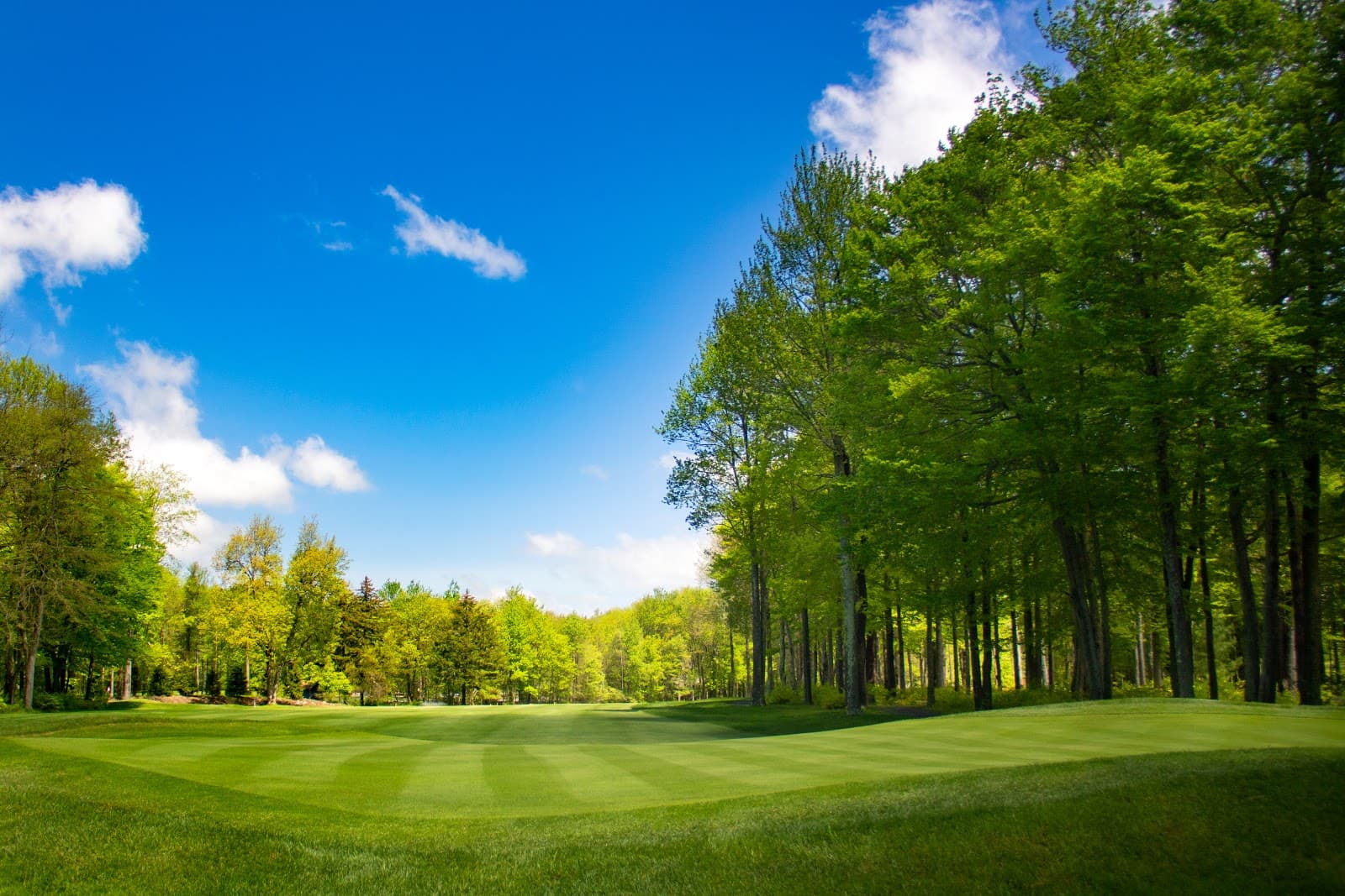 Timber Trails Golf Course