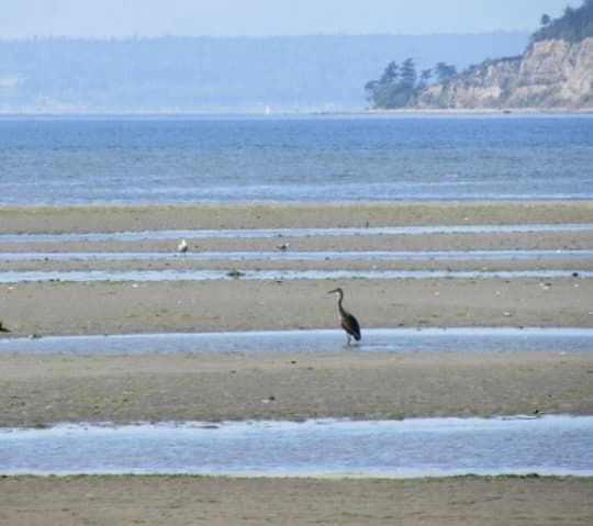 Useless Bay