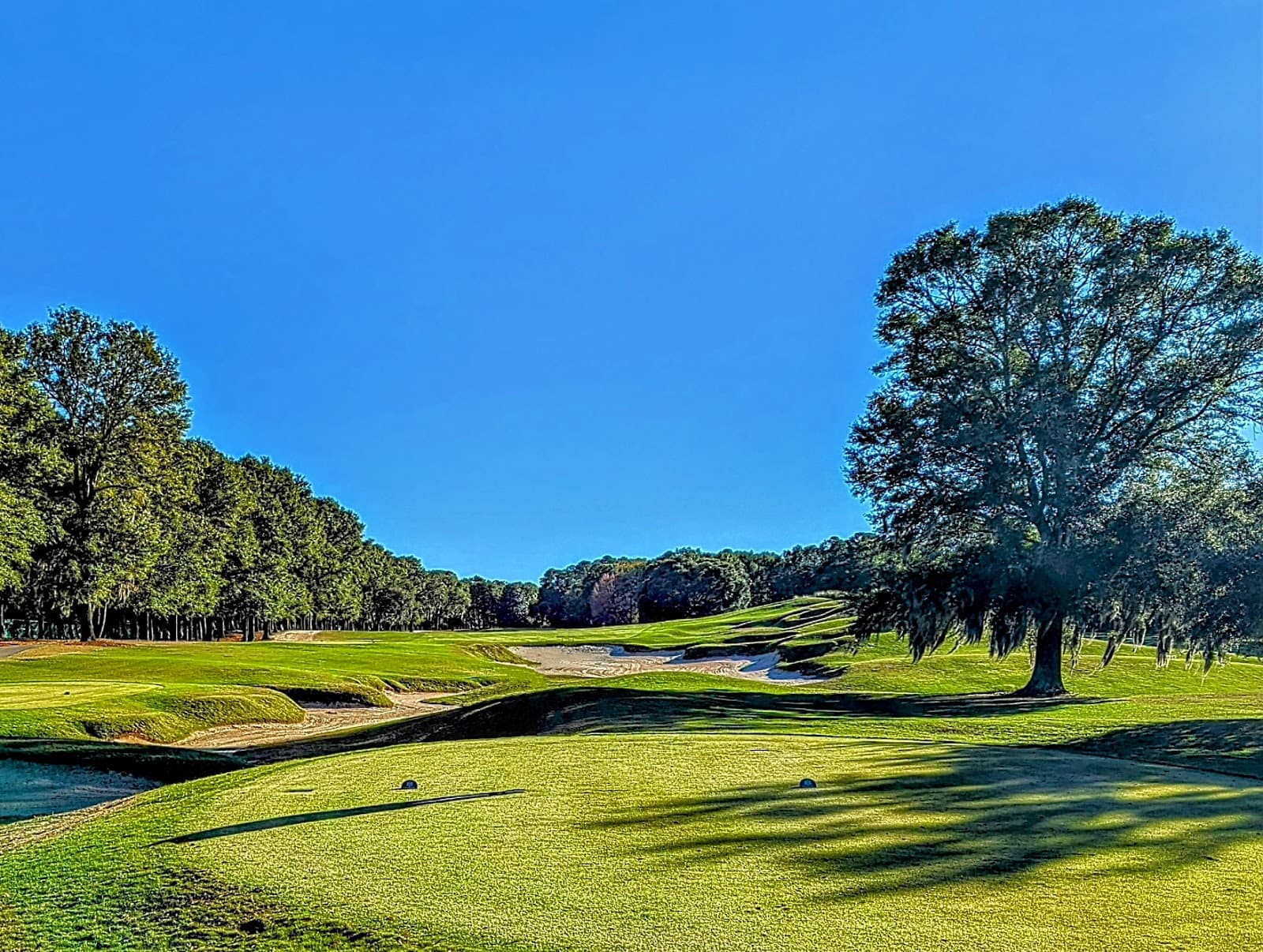Wachesaw Plantation East