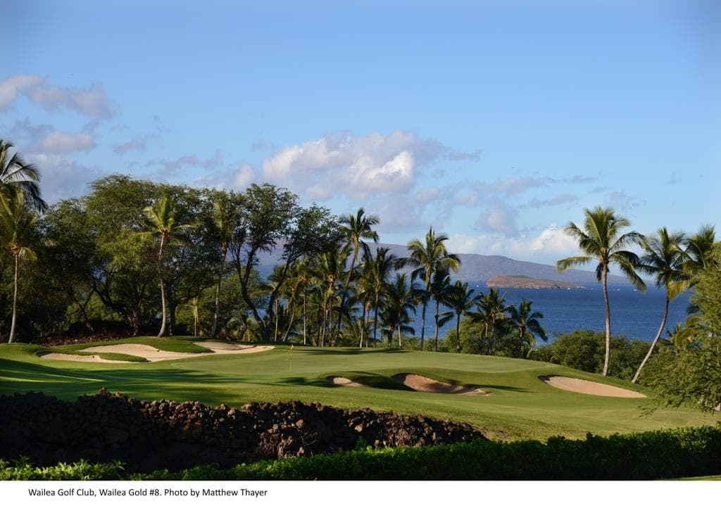 Wailea Golf Club | Gold Course