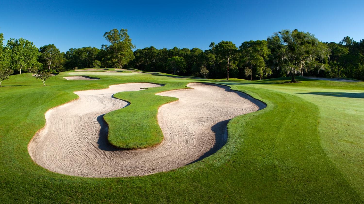 Walt Disney World Magnolia Golf Course