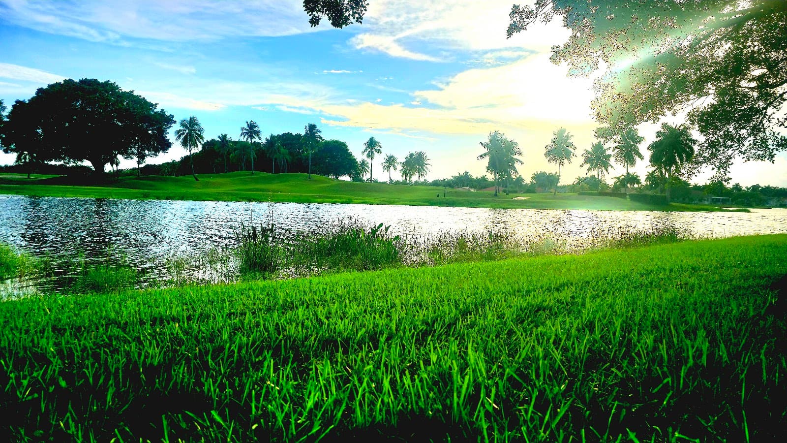 Weston Hills Golf Club - Player's Course