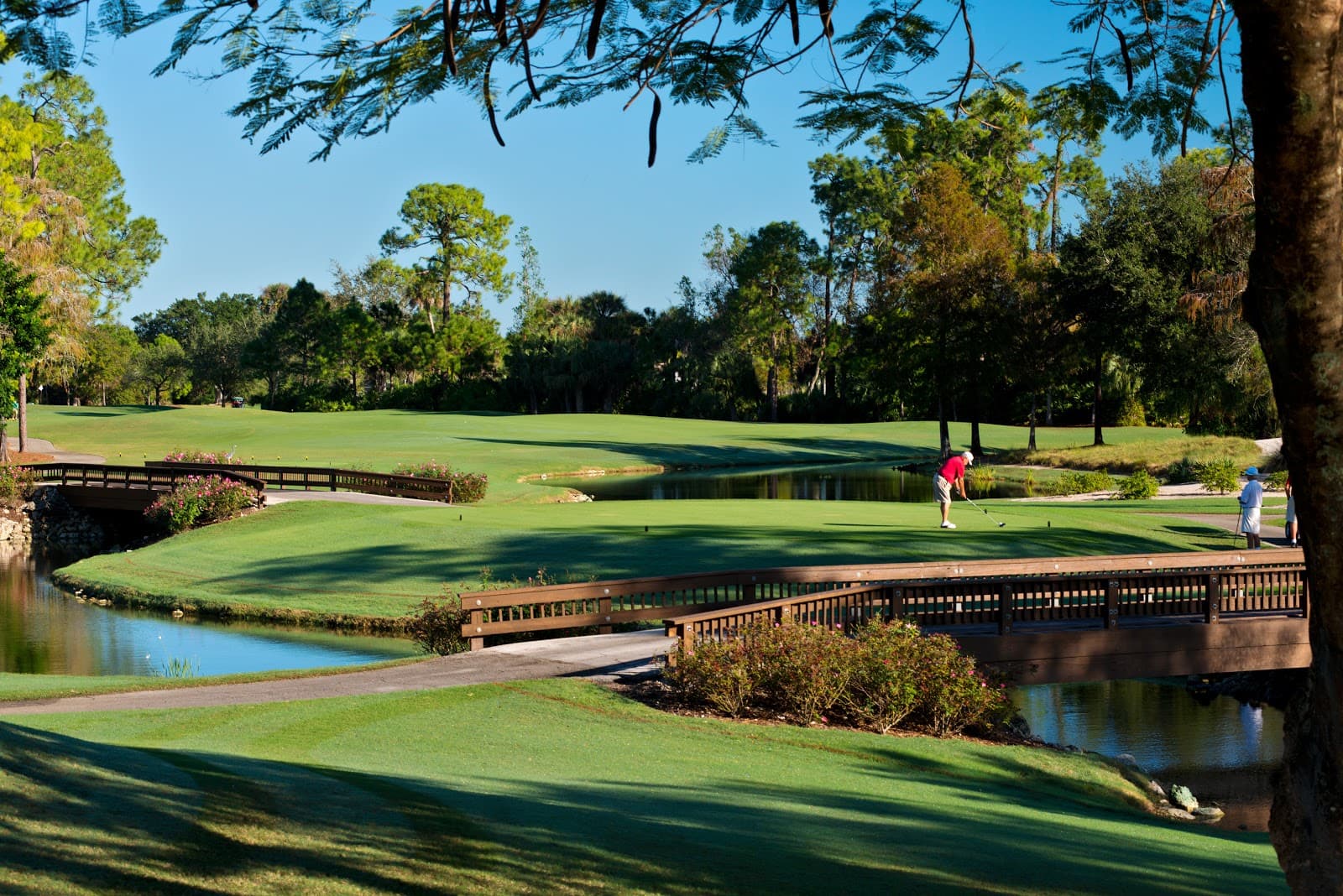 Wyndemere A Golf And Country Club