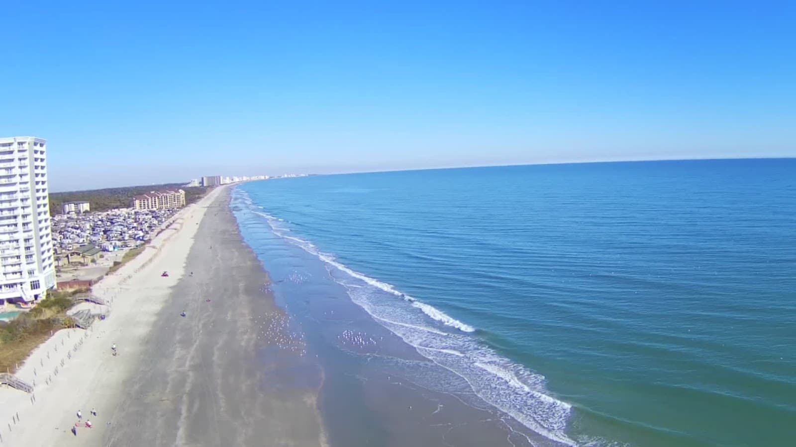 Arcadian Shores