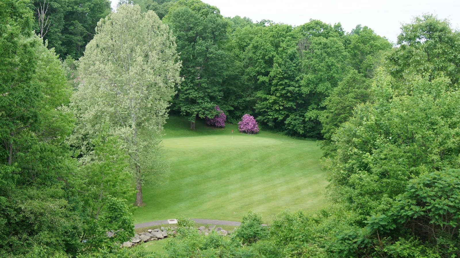 Aubreys Dubbs Dred Golf Course