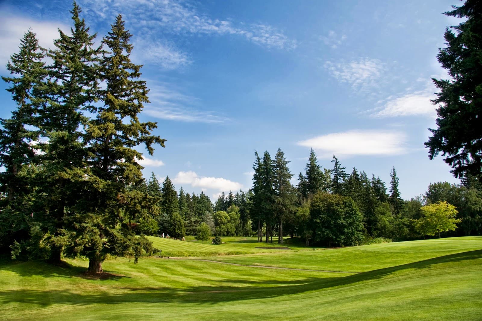 Bellingham Golf & Country Club