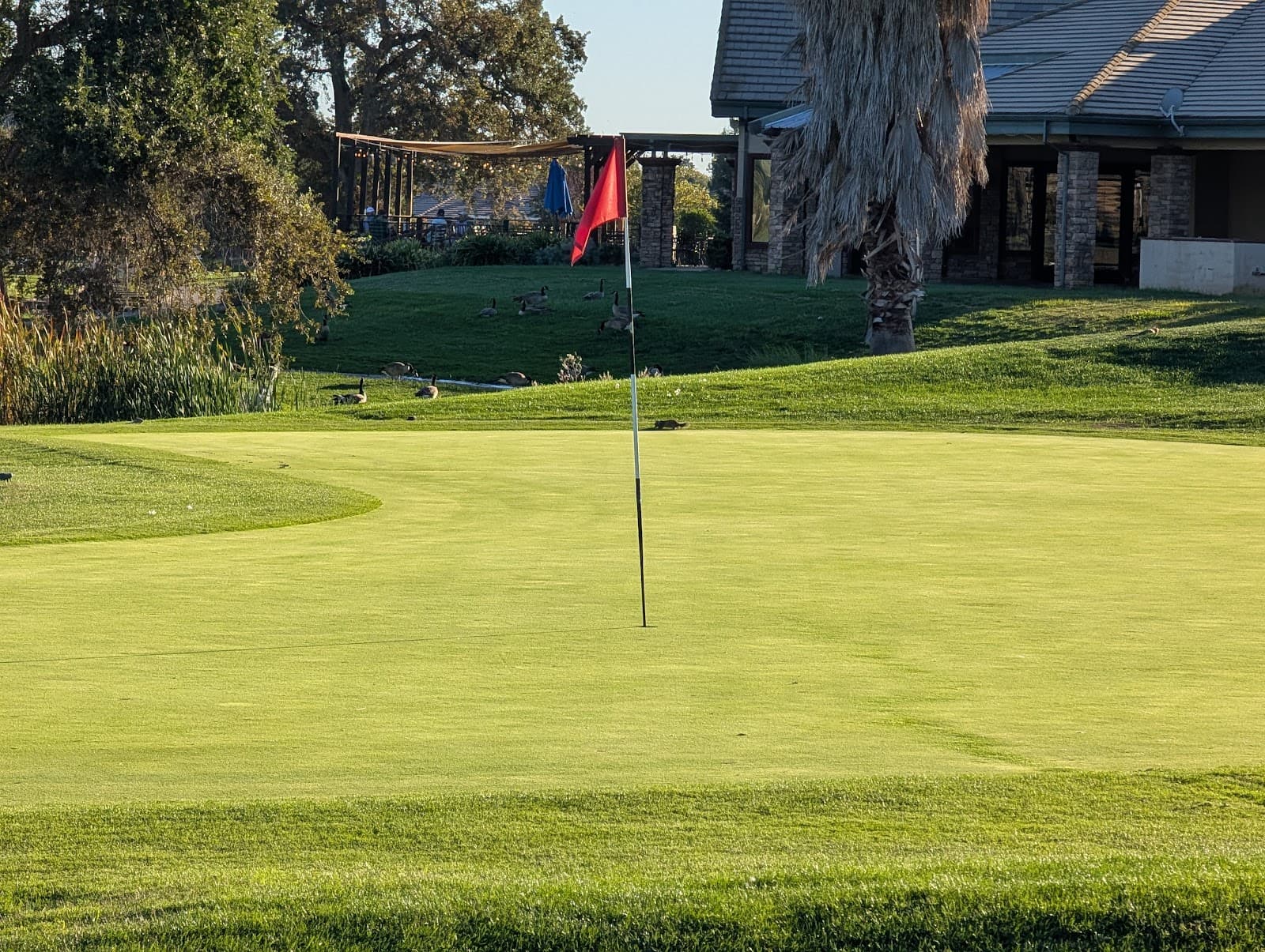 Castle Oaks Golf Club