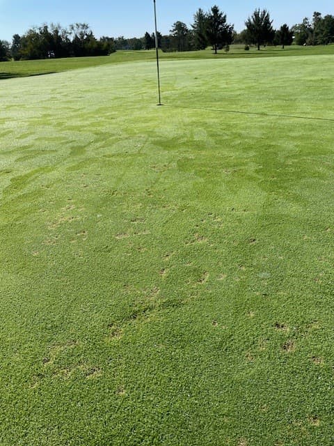 Cedar Ridge Golf Course