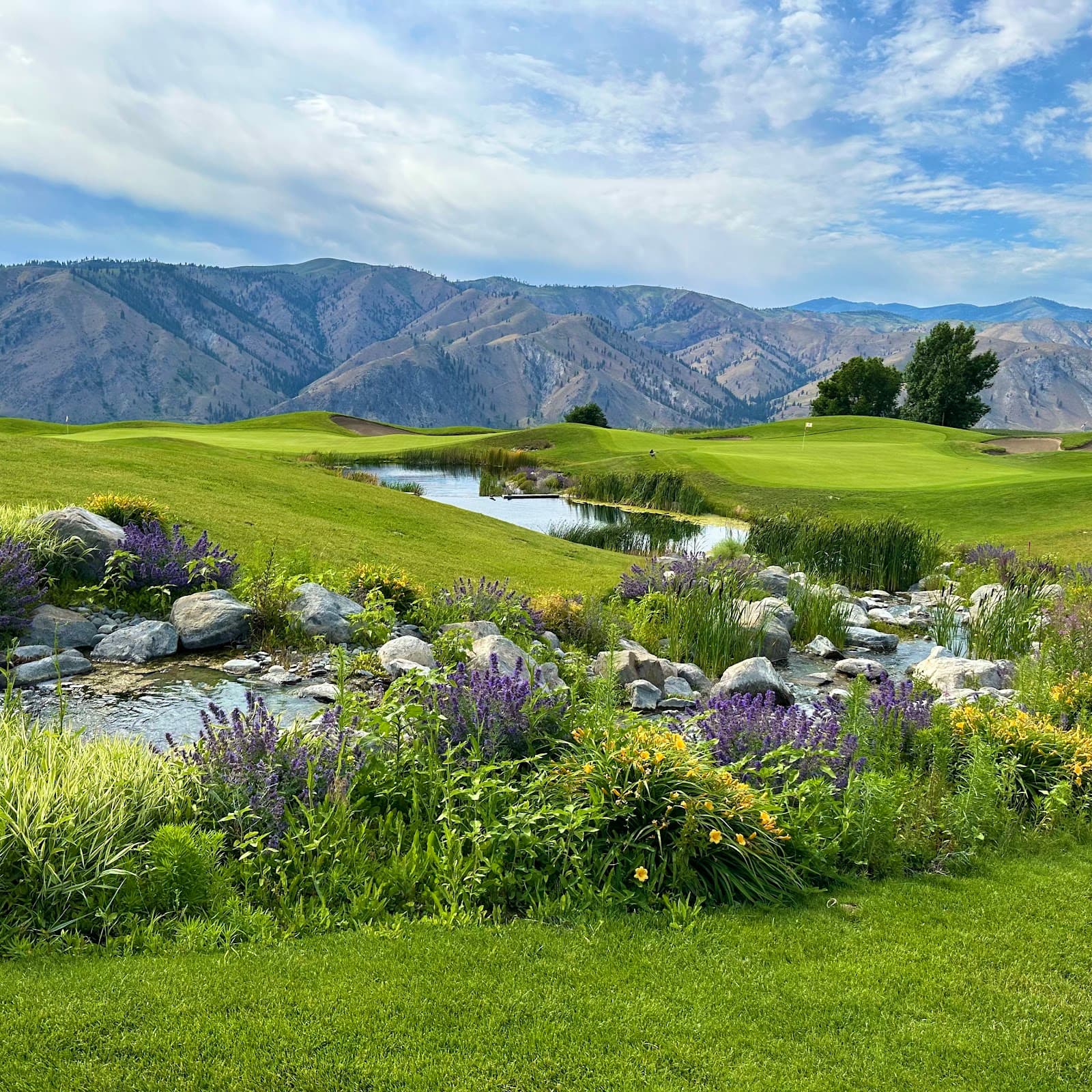 Desert Canyon Golf Resort