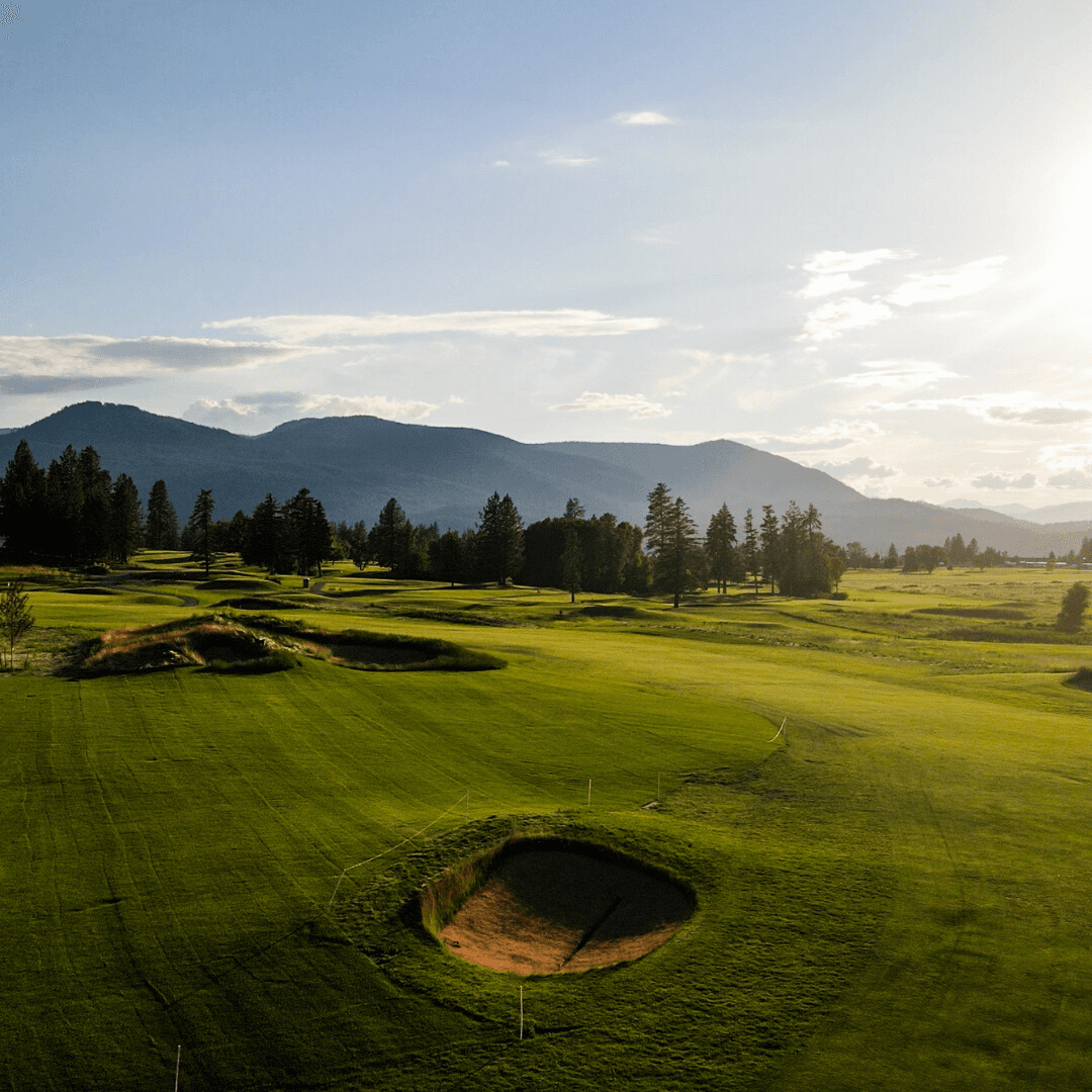 Dominion Meadows