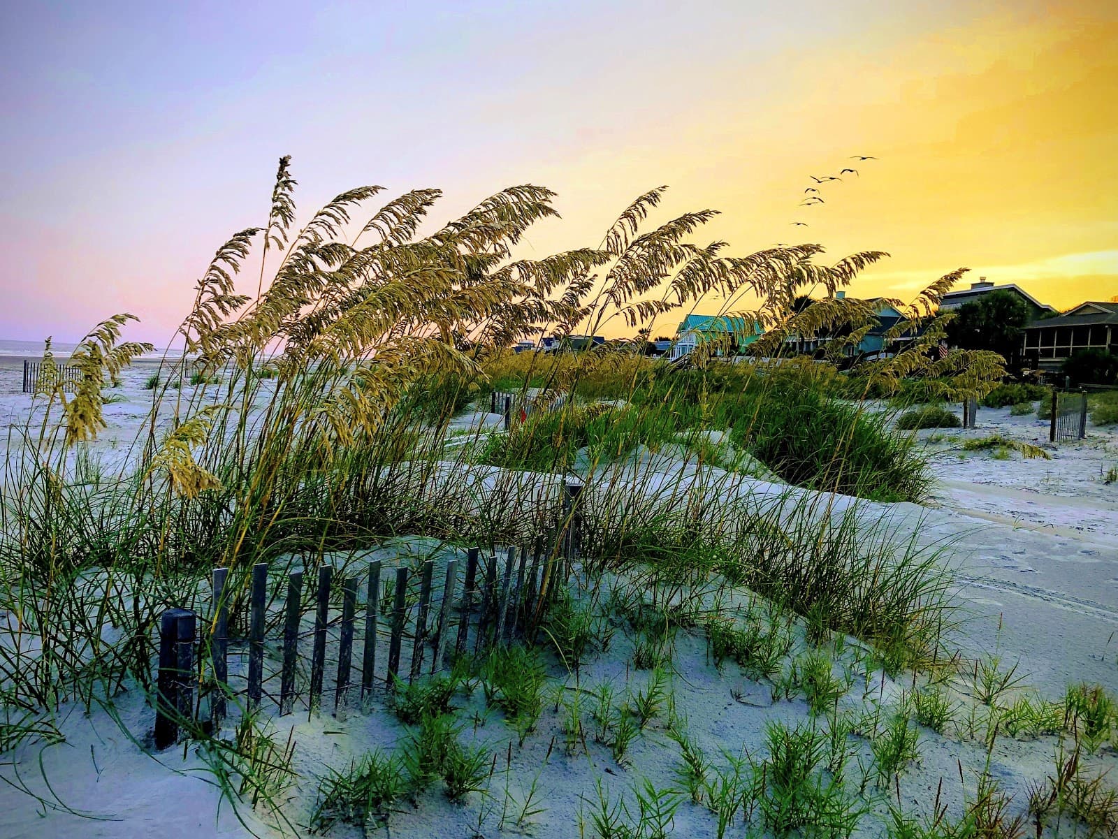 Fripp Island Club