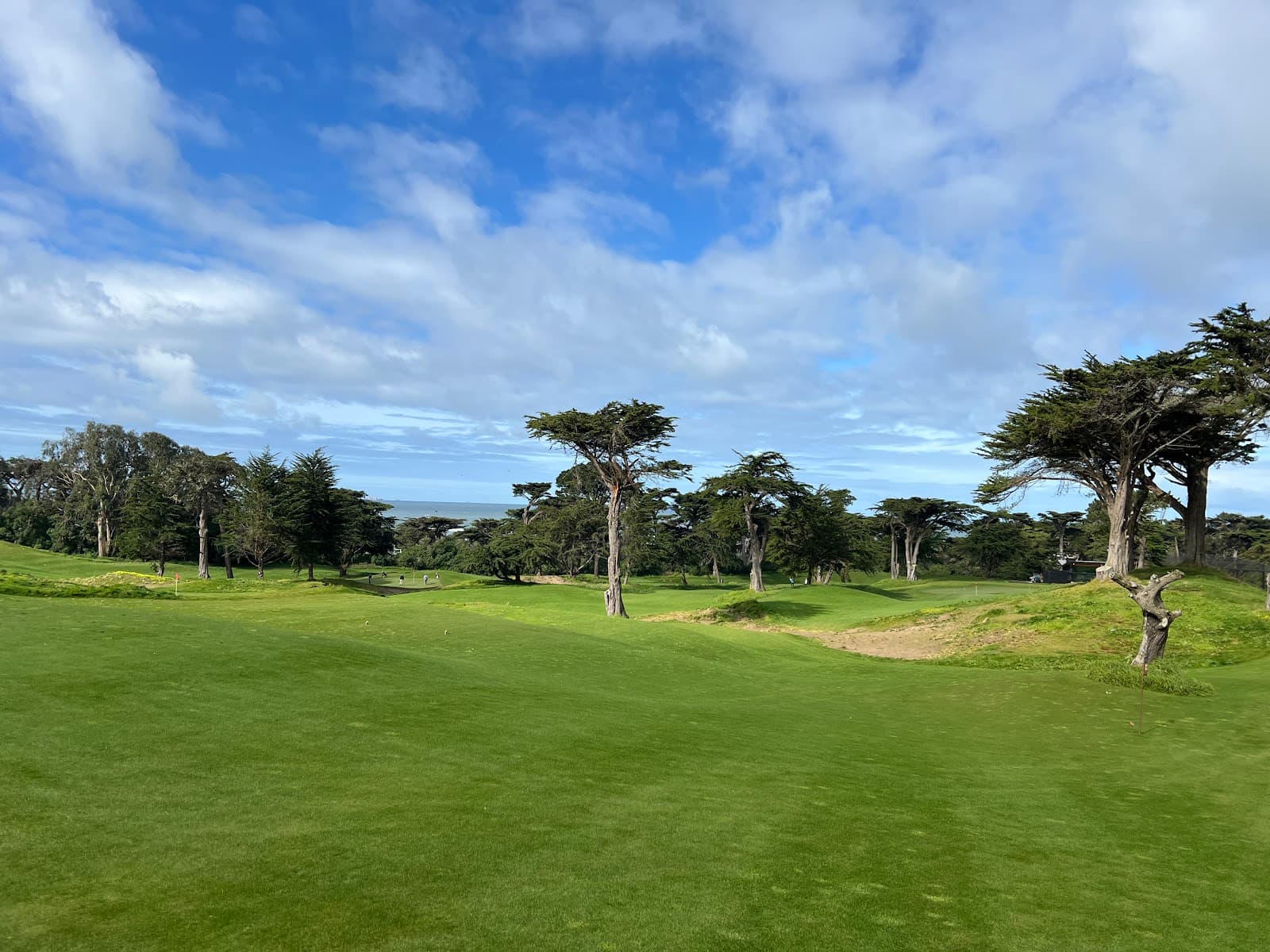 Golden Gate Park Golf Course