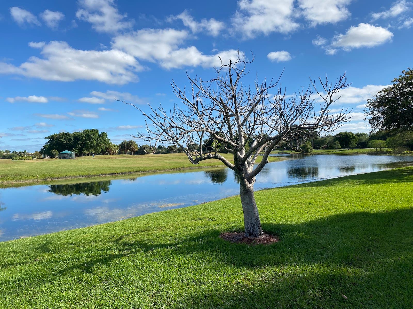 Heron bay Golf Club