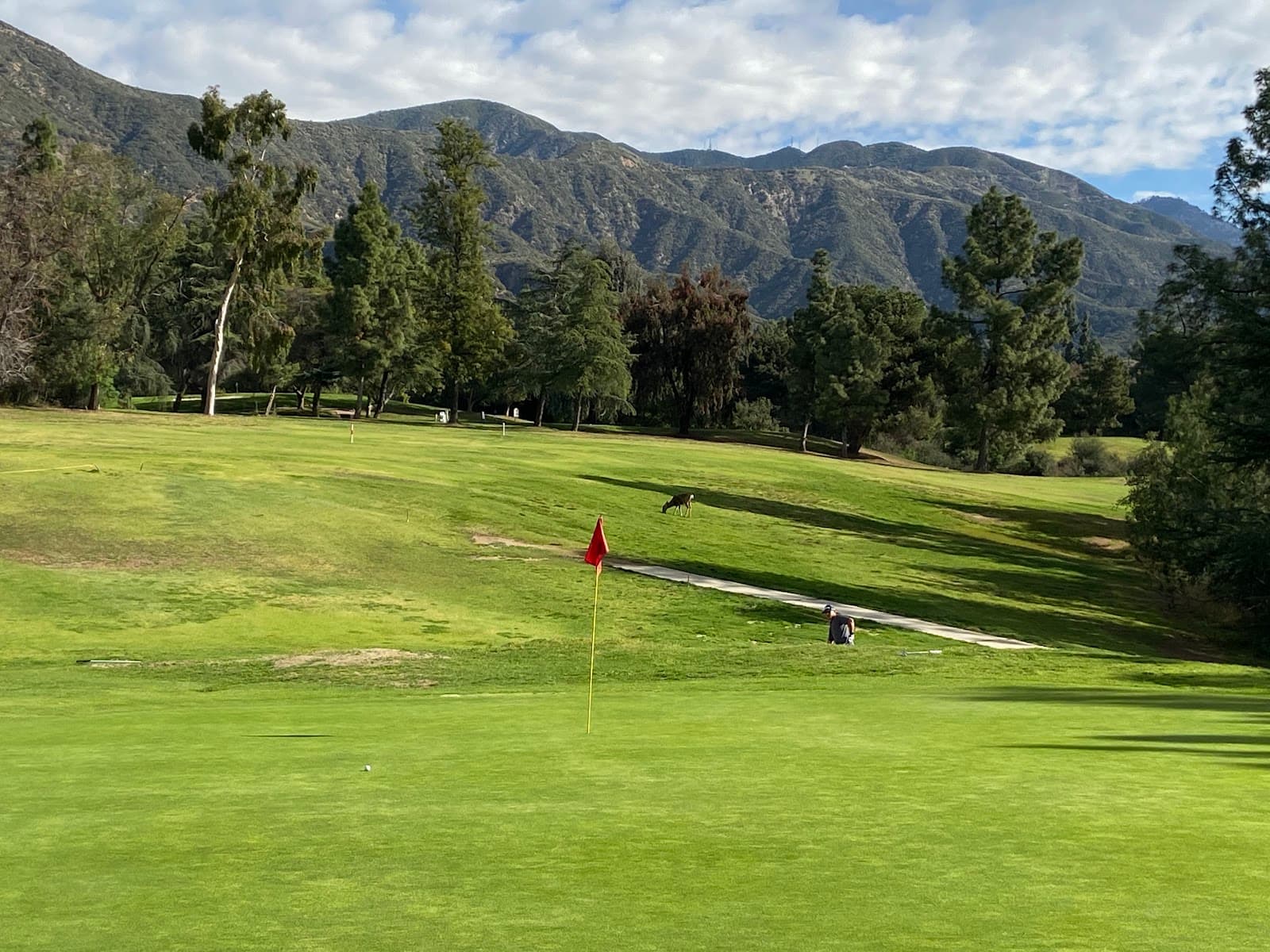 Marshallia Ranch Golf Course