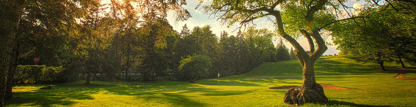 Meadia Heights Golf Club