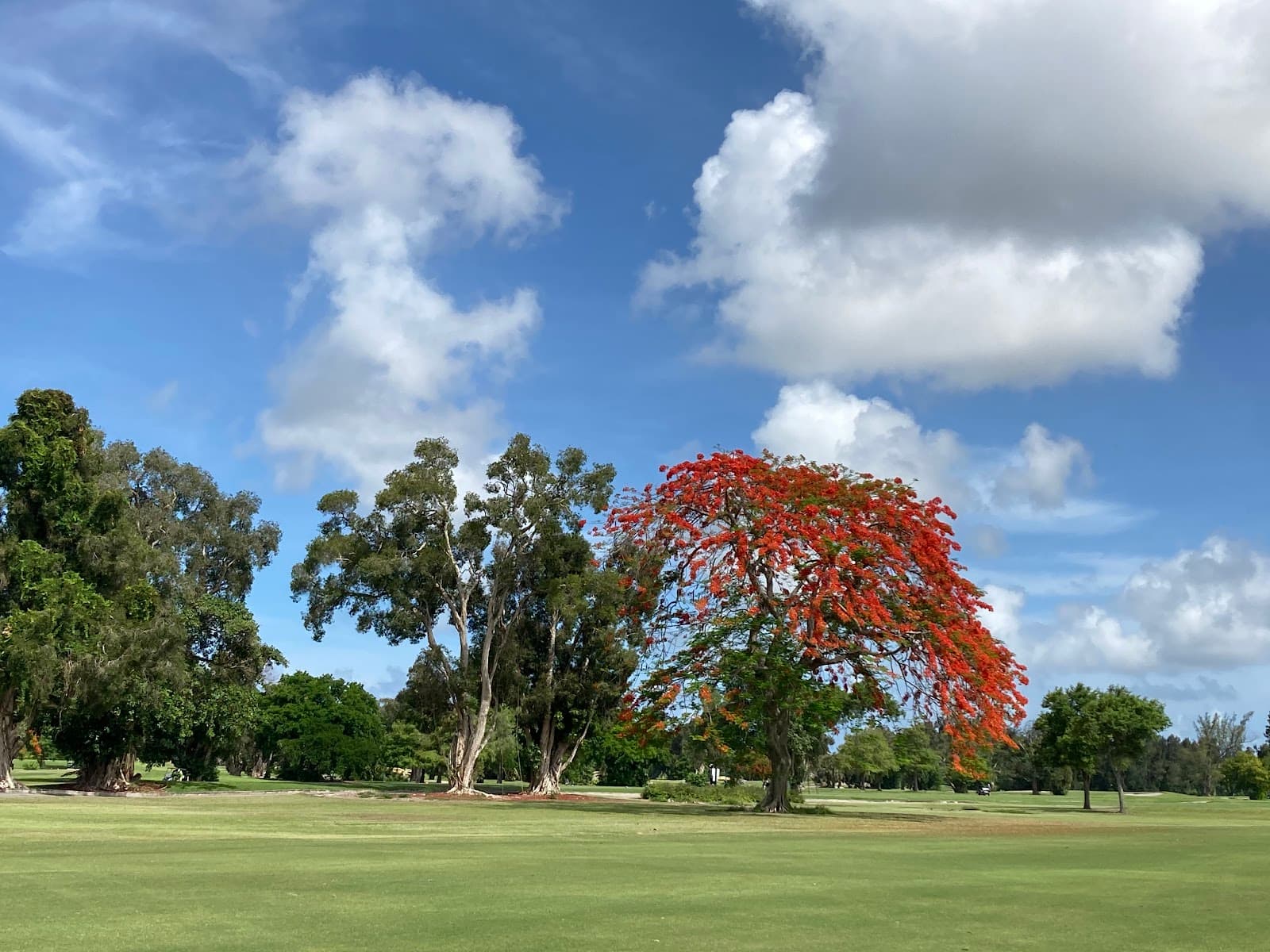 Orangebrook Golf & Country Club