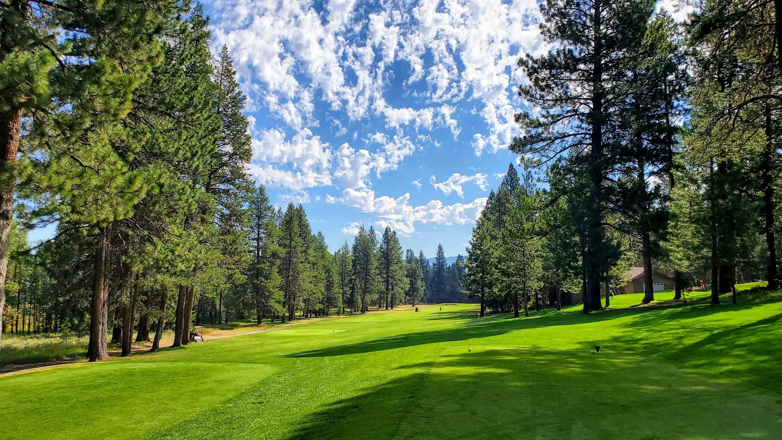 Ponderosa Golf Course