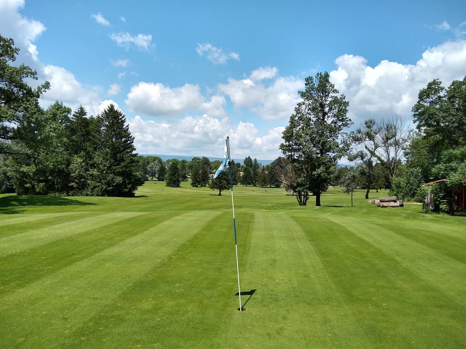 Richland Greens