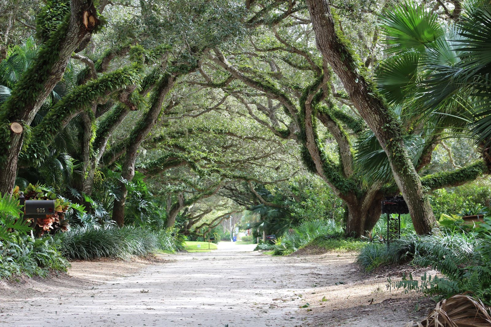 Riomar Country Club