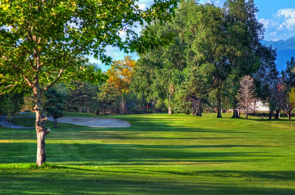 Rose Park Golf Club