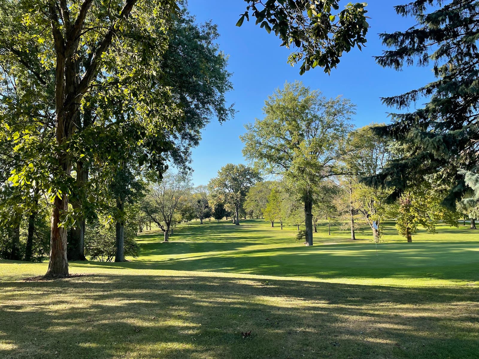 Shoaff Park Golf