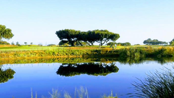 Shoreline Golf Links