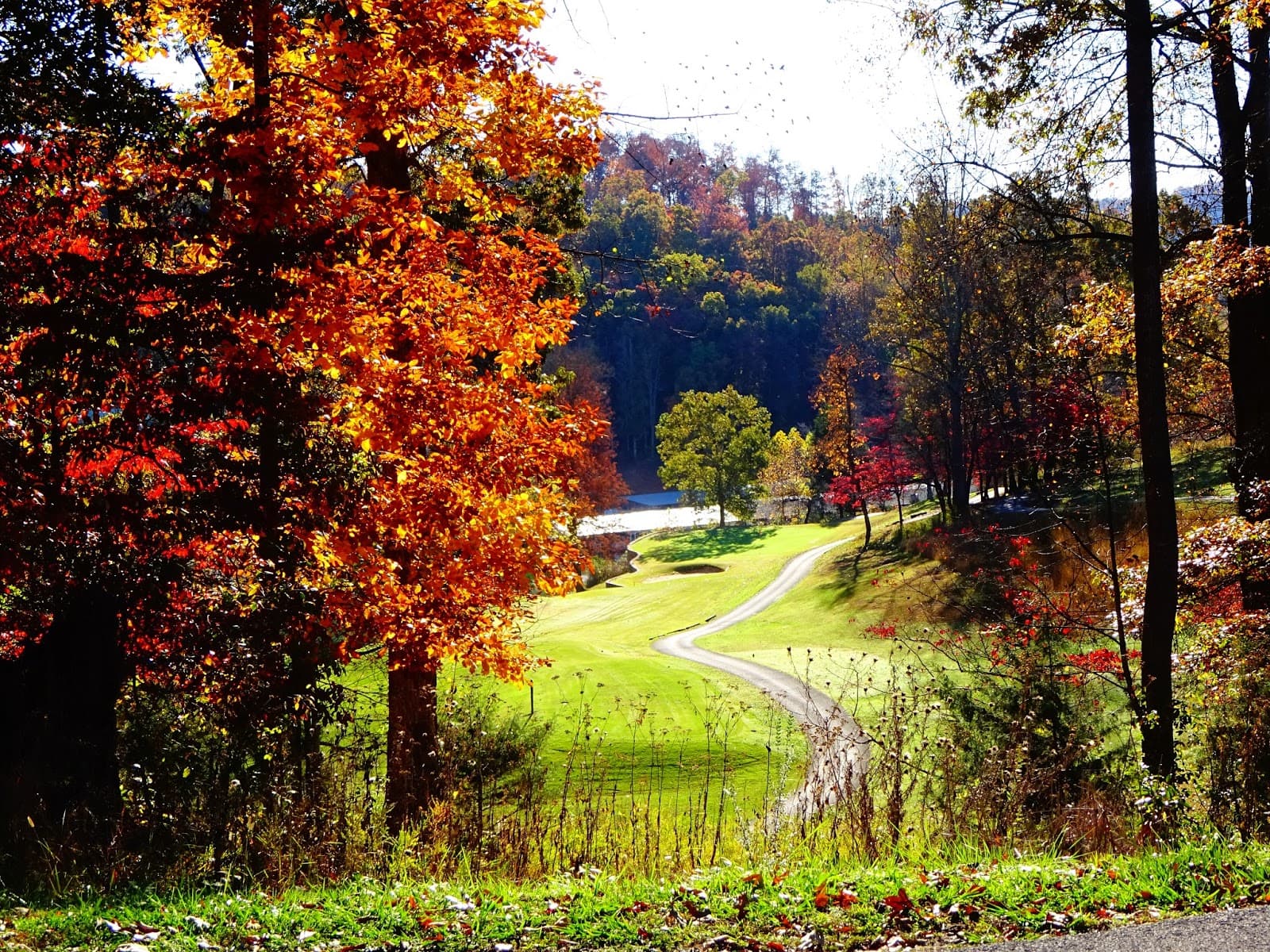 The Greens at Deerfield