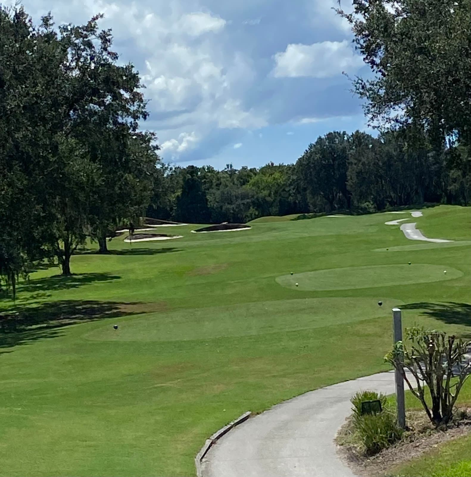 The River Club