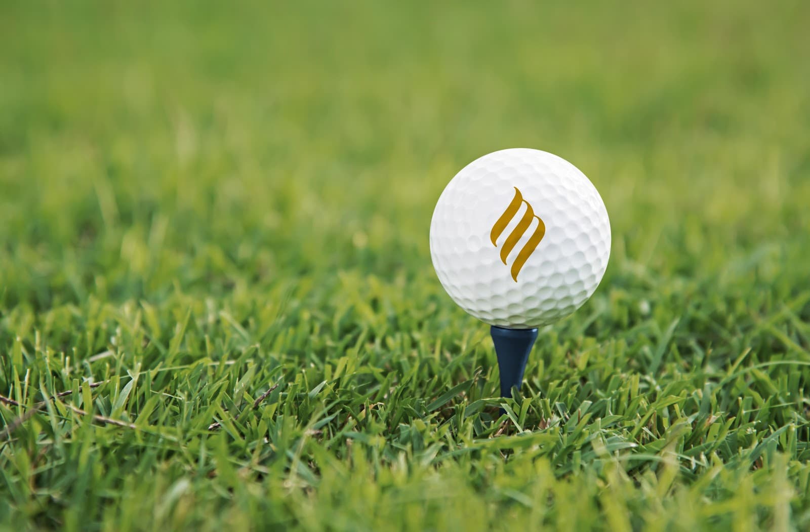 Via Mizner Golf & Country Club